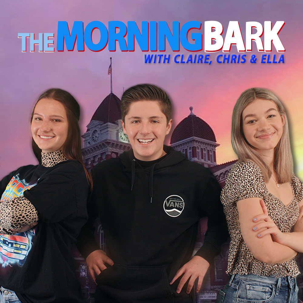 Morning Bark 2020